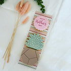 Succulent Haven | Duo Plant Pack | Mother's Day